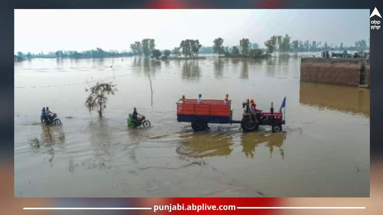 many villages in hoshiarpur rupnagar inundated after water released from pong dam detailsn inside Punjab Flood: ਹਿਮਾਚਲ ਦੀ ਬਾਰਿਸ਼ ਦਾ ਪੰਜਾਬ 'ਚ 'ਕਹਿਰ', ਘਰਾਂ 'ਚ ਵੜਿਆ ਪਾਣੀ, ਹੜ੍ਹ ਦੀ ਲਪੇਟ 'ਚ ਆਏ ਕਈ ਪਿੰਡ