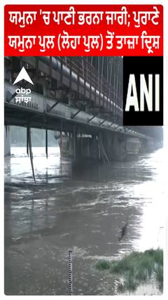 Yamuna 'ਚ ਪਾਣੀ ਭਰਨਾ ਜਾਰੀ; ਪੁਰਾਣੇ Yamuna ਪੁਲ (ਲੋਹਾ ਪੁਲ) ਤੋਂ ਤਾਜ਼ਾ ਦ੍ਰਿਸ਼