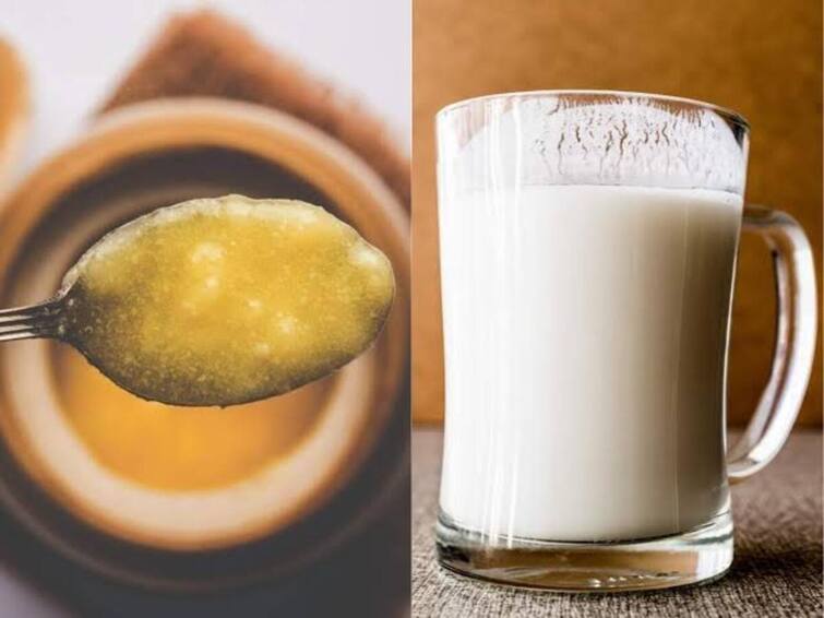 Ghee is good milk is good is it good to add both There are 5 health benefits Ghee, Milk Superfoods: நெய், பால் சாப்பிடுவதால் என்னென்ன நன்மைகள்? நீங்களே பாருங்க!