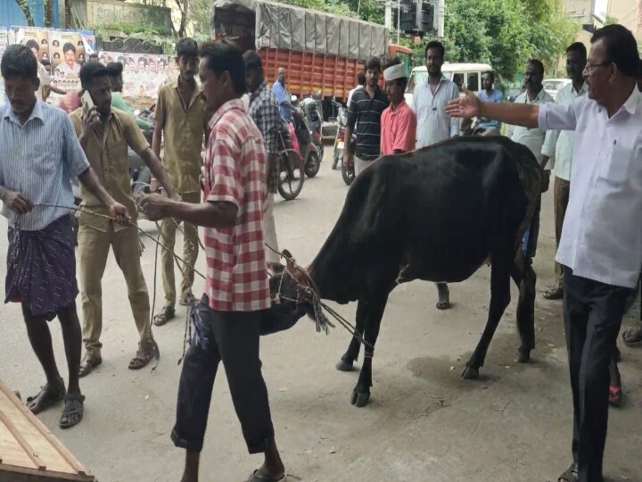 காஞ்சிபுரம் மக்கள் ஹேப்பி..! இனி சாலையில் நிம்மதியாக போகலாம்..! மாநகராட்சி எடுத்த முடிவு..!