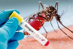 Dengue: เชฎเชเซเชเชฐเชจเชพ เชเชฐเชกเชตเชพเชฅเซ เชชเชฃ เชจเชนเชฟ เชฅเชพเชฏ เชกเซเชจเซเชเซเชฏเซ, เชฌเชธ เชกเชพเชฏเชเชฎเชพเช เชเชฐเซ เชฒเซ เชเชเชฒเซ เชซเซเชฐเชซเชพเชฐ