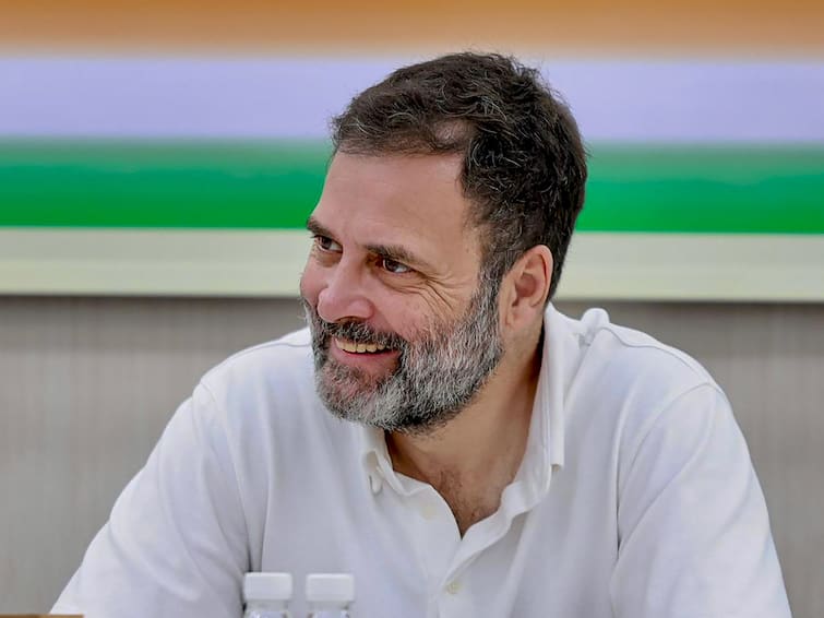'Baseless, Absurd': BJP Slams Rahul Gandhi After He Alleges PM 'Lying About Chinese Incursion' In Ladakh 'Baseless, Absurd': BJP Slams Rahul Gandhi After He Alleges PM 'Lying About Chinese Incursion' In Ladakh