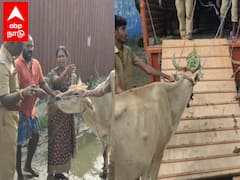 காஞ்சிபுரம் மக்கள் ஹேப்பி..! இனி சாலையில் நிம்மதியாக போகலாம்..! மாநகராட்சி எடுத்த முடிவு..!