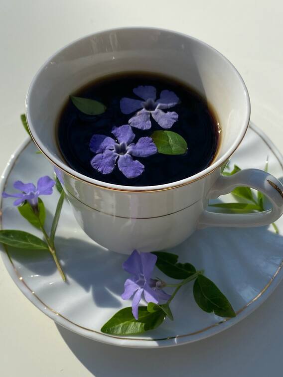 डायबिटीज में रोजाना ब्लू टी पीने के फायदे