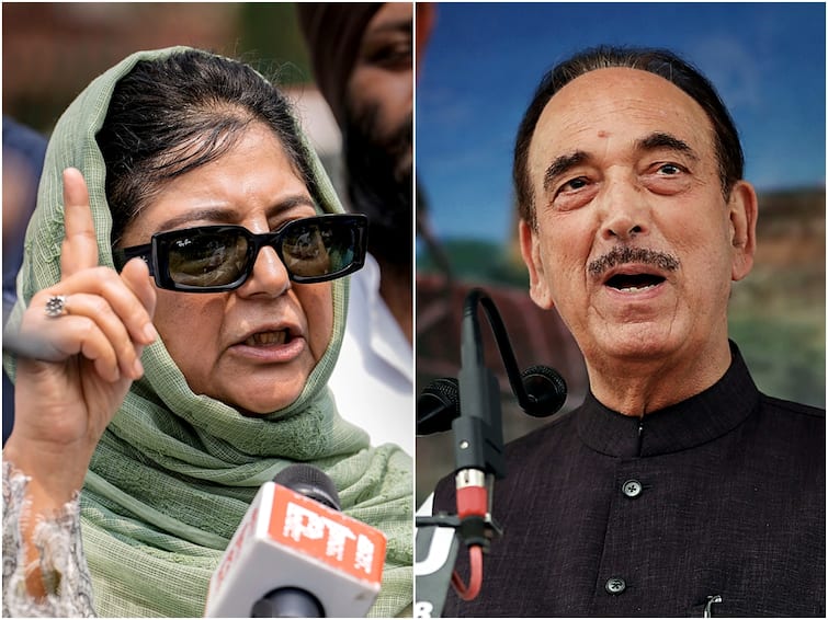 Ghulam Nabi Azad Viral Video Mehbooba Mufti Indian Muslims Were Originally Hindus Later Converted Kashmiri Pandits Jammu Kashmir 'Maybe He Will Find Apes In...': Mehbooba Mufti Reacts To Azad's 'Indian Muslims Were Hindus' Comment