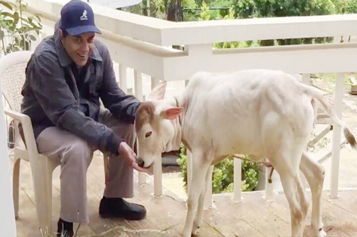 इस फार्महाउस में लग्जरी सुविधाओं के साथ आपको गांव की फीलिंग भी आएगी. क्योंकि एक्टर ने यहां पर कई गाय और भैंस भी रखी है. जिनकी देखभाल वो खुद बहुत ही प्यार से करते हैं.