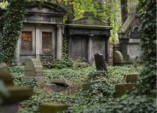 Woman Buried Alive: ਗਲਤੀ ਨਾਲ ਜ਼ਿੰਦਾ ਦੱਬੀ ਔਰਤ, 11 ਦਿਨਾਂ ਬਾਅਦ ਕੱਢੀ ਕਬਰ 'ਚੋਂ ਬਾਹਰ!