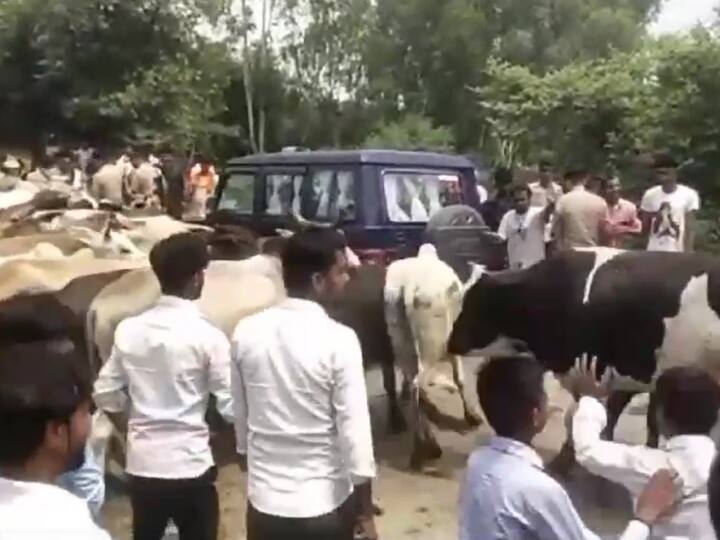 Bareilly People Stop Cabinet Minister Dharmpal Singh Convoy For stray animal UP News: बरेली में लोगों ने सड़क पर आवारा पशु खड़े कर मंत्री धर्मपाल सिंह का रास्ता रोका, SDM से की धक्कामुक्की