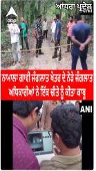 Namala Gavi forest ਜੰਗਲਾਤ ਖੇਤਰ ਦੇ ਨੇੜੇ ਜੰਗਲਾਤ ਖੇਤਰ ਦੇ ਨੇੜੇ ਜੰਗਲਾਤ ਅਧਿਕਾਰੀਆਂ ਨੇ ਇਕ ਚੀਤੇ ਨੂੰ ਕੀਤਾ ਕਾਬੂ