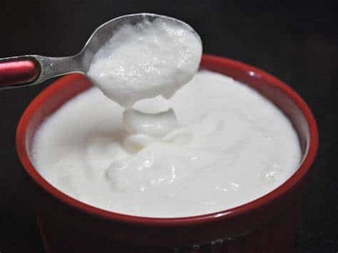 दही : आयुर्वेदानुसार, दह्याचे दुधाबरोबर कधीही सेवन करू नये. तसेच, दूध प्यायल्यानंतर दहीही खाऊ नये.