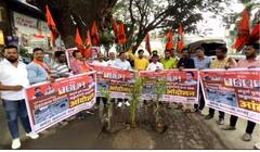 Pune News : राज ठाकरेंचा आदेश अन् पुण्यातील मनसैनिक झाडं घेऊन रस्त्यावर, खड्ड्यांमध्ये केलं वृक्षारोपण
