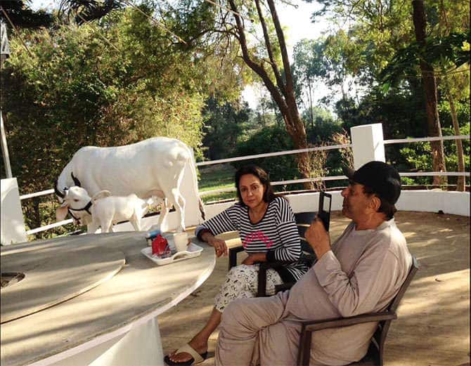 धर्मेंद्र 70 और 80 के दशक के वो सुपरस्टार हैं. जिनकी ना सिर्फ एक्टिंग बल्कि चार्मिंग स्टाइल के भी लोग दीवाने थे. धर्मेंद्र ने भले ही पर्दे पर खूब दौलत और शोहरत हासिल की हो लेकिन वो रियल लाइफ में जमीन से जुड़े इंसान है. इस बता का सबूत एक्टर का फार्महाउस देता है. जहां वो कभी ट्रेक्टर चलाते तो कभी खेती करते नजर आते हैं.