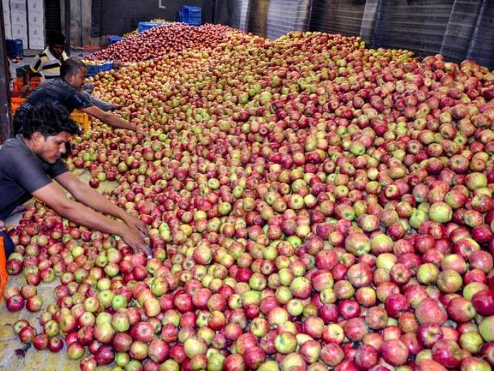 Apple Price Hike: टमाटर के बाद अब सेब भी खाएगा भाव! इस कारण कीमत बढ़ने की उम्मीद  