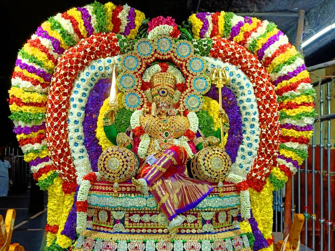 Aadi Amavasai: மேல்மலையனூர் அங்காள பரமேஸ்வரி கோயிலில் ஆடி அமாவாசை கோலாகலம்