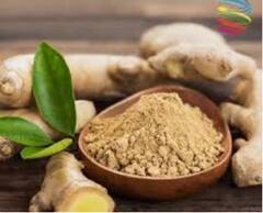 Health Tips : रिकाम्या पोटी आले खाल्ल्याने मासिक पाळीच्या दुखण्यापासून आराम मिळतो, जाणून घ्या सविस्तर