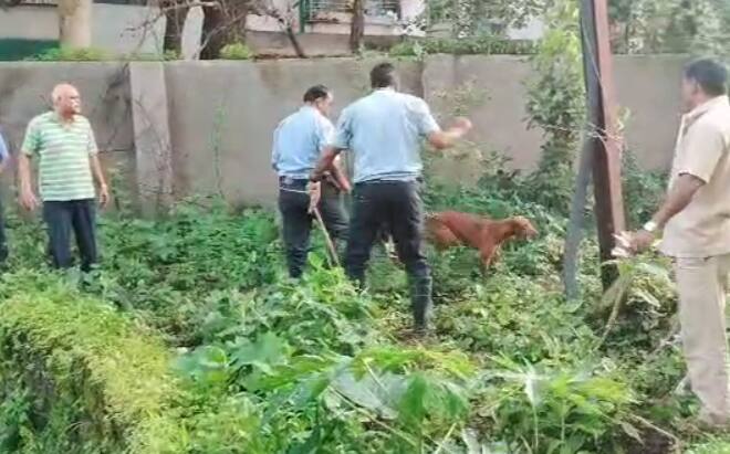 त्यानंतर अग्निशमन दलाच्या जवानाचे नागरिकांनी आभार मानले.