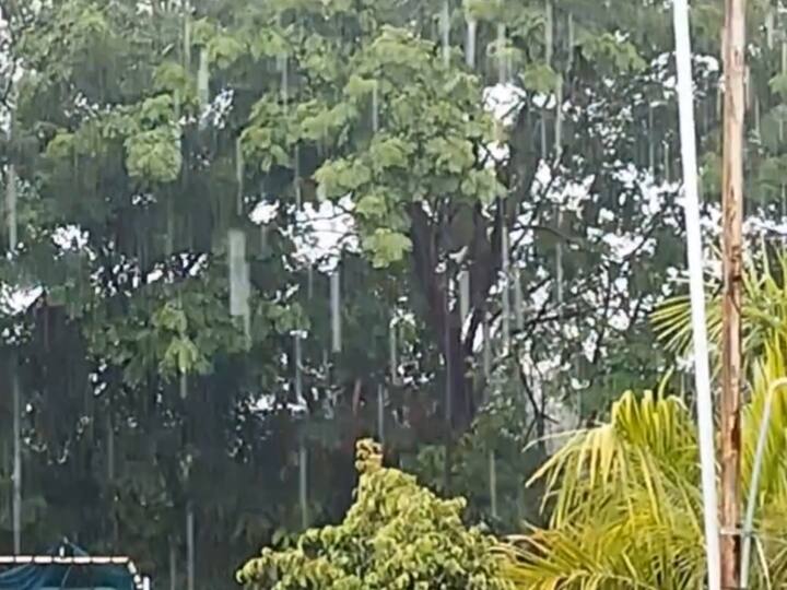 त्यामुळे बळीराजा देखील सुखावला आहे.