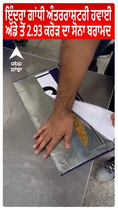 Delhi's Indira Gandhi International Airport ਤੋਂ 2.93 ਕਰੋੜ ਦਾ ਸੋਨਾ ਬਰਾਮਦ