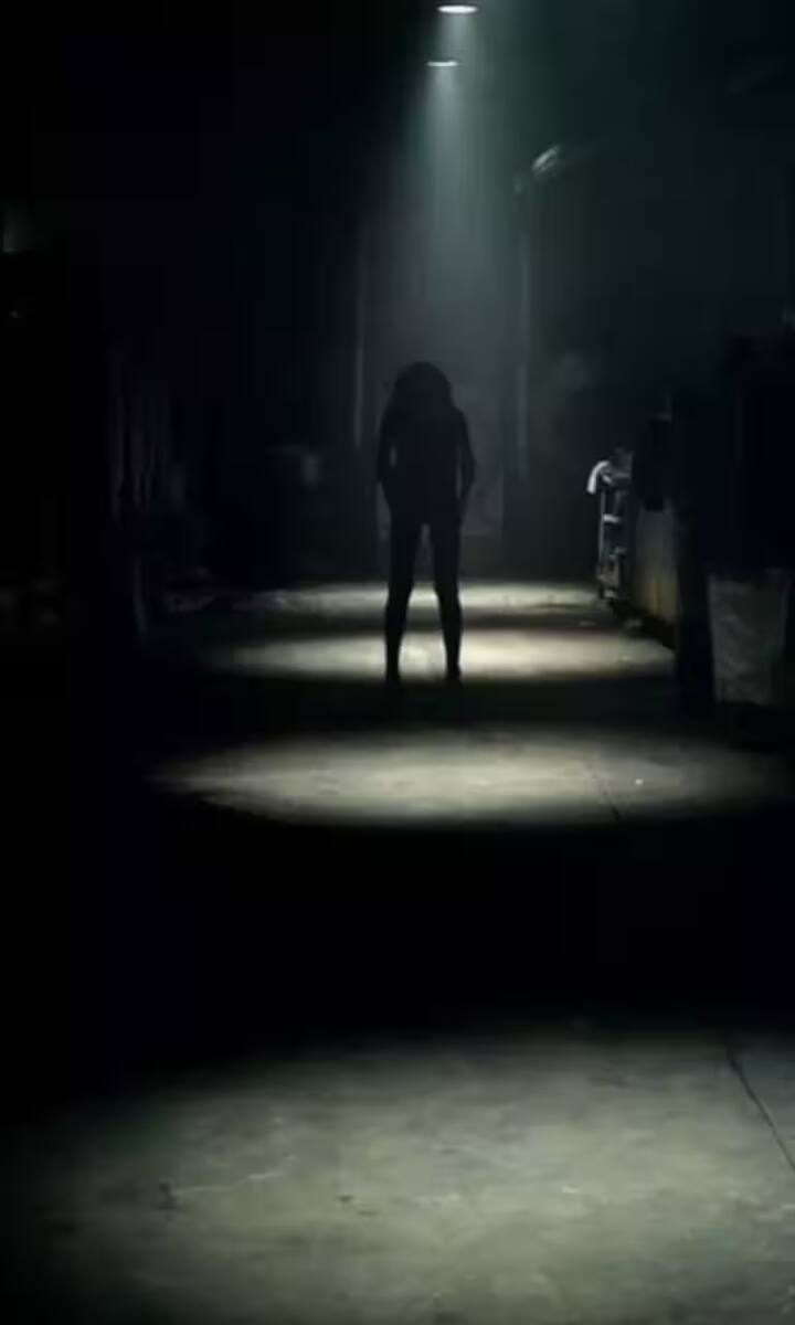 'লাইটস আউট' - ডেভিড এফ স্যান্ডবার্গের তৈরি এই ছবি দেখার পর রাতে আলো নিভিয়ে শোওয়া বন্ধ করে দিতে পারেন।