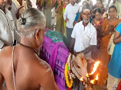 Avani month birth special worship at sirkazhi sattainathar temple TNN சீர்காழி சட்டைநாதர் கோயில் ஆவணி மாத பிறப்பு சிறப்பு வழிபாடு