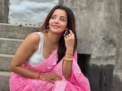 Bhojpuri Actor Monalisa Stuns In A Pink Saree; See Pics