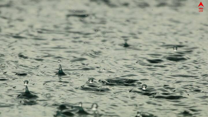 বিশেষজ্ঞদের মত অনুযায়ী দাবি, বাড়ির অন্যান্য কাজে ব্যবহার করা হয় বৃষ্টির জলকে।