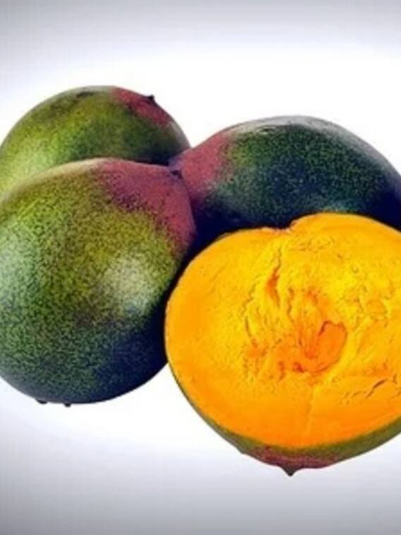 काजू-बादाम का बाप है ये फल, खाते ही मिलेगी एनर्जी