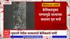 Palghar Dead Fish: केमिकलयुक्त पाण्यामुळे नाल्याच्या काठावर मृत मासे; जनावरांनाही धोका