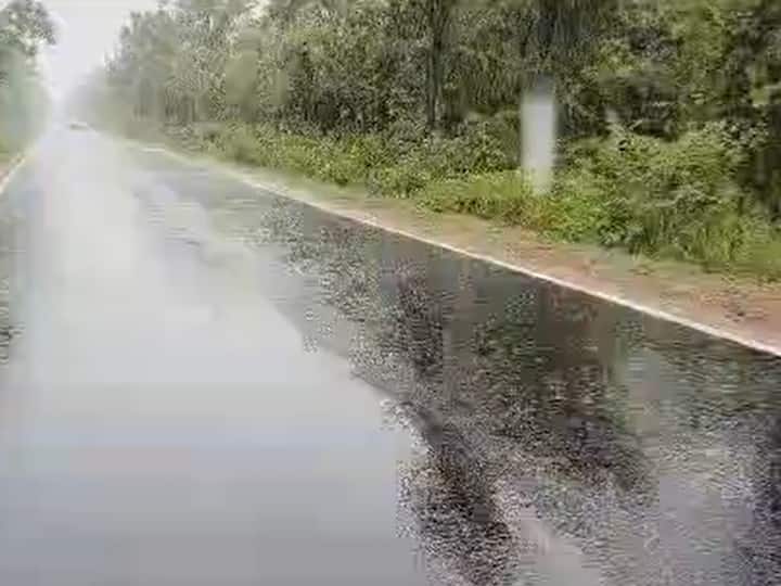 यामुळे  अगदी शेवटची घटका मोजणाऱ्या भात पिकाला नवसंजीवनी मिळणार आहे.