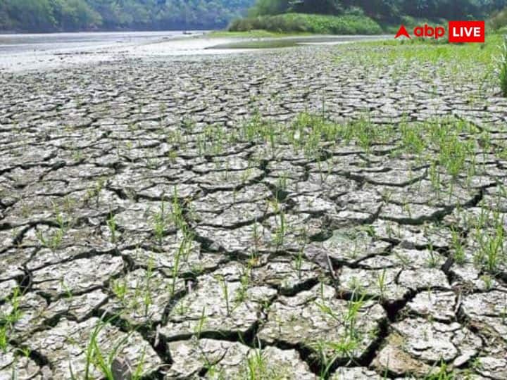 अगस्त में 100 वर्षों में सबसे कम बारिश होने का अनुमान, खरीफ फसलों को नुकसान से महंगाई का डर