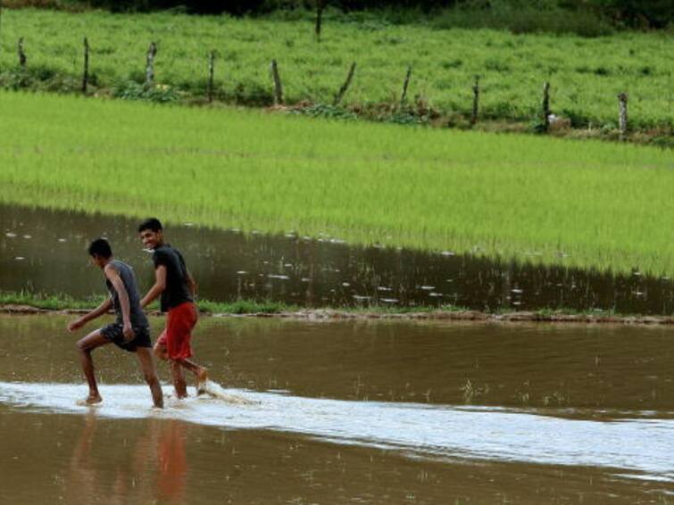 India To Face Driest August Over A Century El Niño To Impact Rainfall, Crop Yields Report India To Face Driest August Over A Century; El Niño To Impact Rainfall, Crop Yields: Report