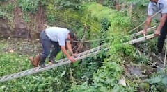 Pune News : कुत्रा चुकून विहिरीत पडला, रात्रभर मदतीसाठी भुंकत होता अखेर 9 तासांनी अग्निशमन दलाने वाचवला जीव