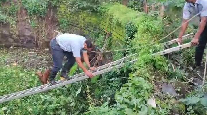 पुण्यातील कोथरुड परिसरातील एका विहीर पडलेल्या कुत्र्याची अग्निशमन दलाच्या जवानाकडून सुखरुप सुटका करण्यात आली.
