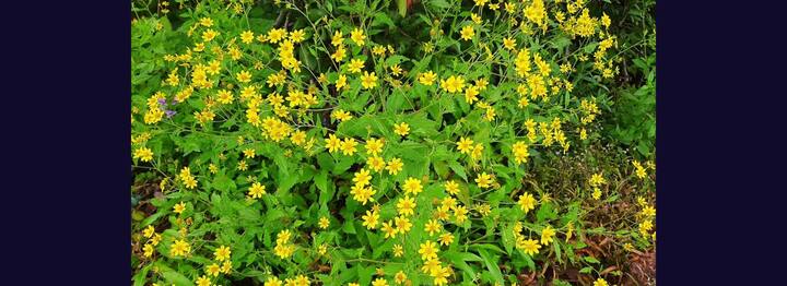 పైగా తక్కువ మందికే ప్రవశం కాబట్టి.. మీకు అనుమతి వస్తే.. అదో ప్రత్యేకమైన ప్రివిలేజ్ అవుతుంది. అన్నింటికి మించి అద్బుతమైన దశ్యాన్ని మనసులో ముద్రించుకునే అవకాశం ఉంటుంది.