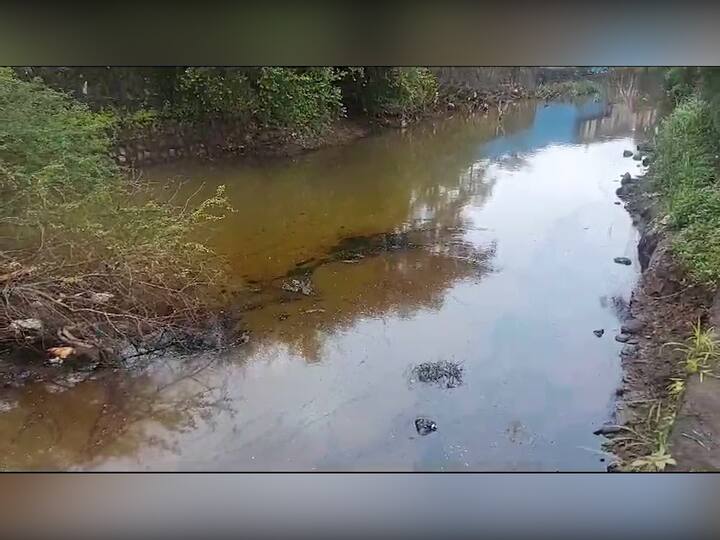 या नाल्याच्या शेजारी टायर वितळवणारी कंपनी तसेच इतर दोन कंपन्या असून या कंपनीतून रासायनिक पाणी सोडले असल्याची शंका स्थानिकांनी उपस्थित केली आहे.