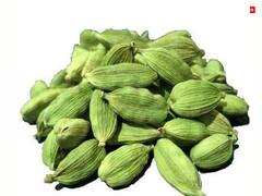 Sawan Vinayak Chaturthi 2023: सावन विनायक चतुर्थी पर करें ये 5 टोटके, चमक जाएगी किस्मत