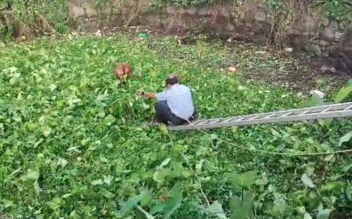 कोथरुड परिसरात मागील अनेक दिवसांपासून ही कठडे नसलेली विहिर आहे.