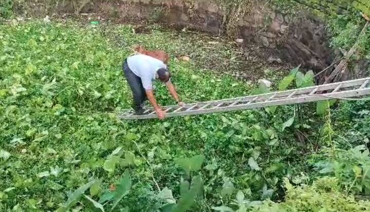 रात्रीच्या सुमारात रस्त्याचा अंदाज न आल्याने कुत्रा या व्हिहिरीत पडला होता.