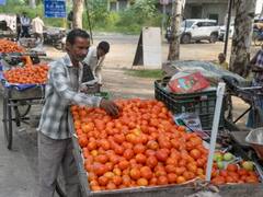 जल्द मिल सकता है सस्ता टमाटर, थोक बाजार में 30 फीसदी तक गिरे दाम 