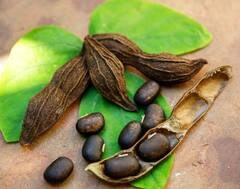 Health Benefits: ਮਰਦਾਂ ਲਈ ਵਰਦਾਨ ਨੇ ਇਹ ਕਾਲੇ ਬੀਜ...ਜਾਣੋ ਇਸ ਦੇ ਚਮਤਕਾਰੀ ਫਾਇਦਿਆਂ ਬਾਰੇ