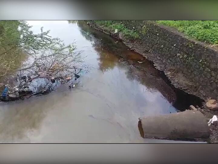 दुसरीकडे याच नाल्यातून दुग्ध व्यवसाय करणाऱ्यांची गुरं ढोरं आणि म्हशी चरण्यासाठी आल्यावर पाणी पीत असून या जनावरांनाही धोका निर्माण झाला आहे.