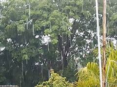 Bhandara News :  भंडाऱ्यात पावसाची जोरदार हजेरी, शेवटची घटका मोजणाऱ्या भात पिकाला मिळणार नवसंजीवनी