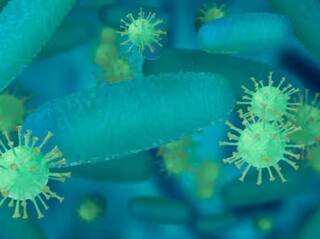 Lumpy Skin Disease: ਕੀ ਹੈ Lumpy ਵਾਇਰਸ, ਜਾਣੋ ਕਿਉਂ ਤੇ ਕਿਵੇਂ ਫੈਲਦੀ ਹੈ ਇਹ ਚਮੜੀ ਦੀ ਬਿਮਾਰੀ