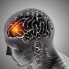 Brain Tumor: ছোটখাট মাথাব্যথা দিয়ে শুরু, উপেক্ষা করবেন না ব্রেন টিউমারের এই উপসর্গগুলি !