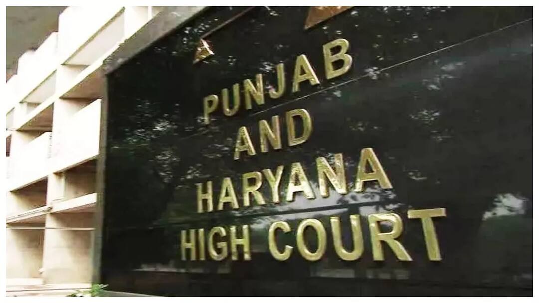 Punjab-Haryana High Court : ਅਦਾਲਤ ਨੇ ਸਰਕਾਰ ਨੂੰ ਲਗਾਈ ਫਟਕਾਰ, ਕਿਹਾ ਅਦਾਲਤ ਫ਼ੌਜ ਬੁਲਾਉਣ ਤੋਂ ਨਹੀਂ ਝਿਜਕੇਗੀ The court reprimanded the government, saying that the court will not hesitate to call the army Punjab-Haryana High Court : ਅਦਾਲਤ ਨੇ ਸਰਕਾਰ ਨੂੰ ਲਗਾਈ ਫਟਕਾਰ, ਕਿਹਾ ਅਦਾਲਤ ਫ਼ੌਜ ਬੁਲਾਉਣ ਤੋਂ ਨਹੀਂ ਝਿਜਕੇਗੀ
