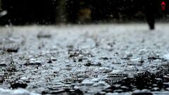 Rainwater: বৃষ্টির জল পান করা কি নিরাপদ ? কী বলছে গবেষণা ?