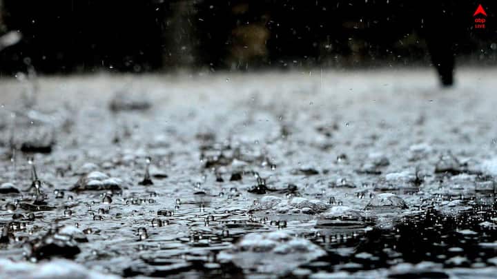 Rainwater Benefits: বৃষ্টির জল পান করা নিরাপদ নয়। কী বলছেন বিশেষজ্ঞরা ?