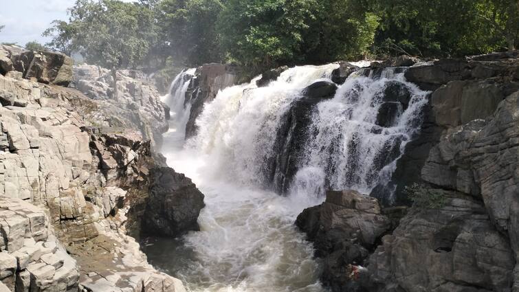 Flow of water to Cauvery Pilikundulu increases for 4th day  Parisal traffic ban continues TNN காவிரி பிலிகுண்டுலுவுக்கு நீர்வரத்து 4வது நாளாக அதிகரிப்பு - பரிசல் இயக்க தொடரும் தடை