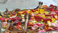 Nag Panchami 2023: નાગપંચમીના અવસરે મનોકામનાની પૂર્તિ માટે કરો સિદ્ધ મંત્રનો જાપ, મળશે શીઘ્ર ફળ