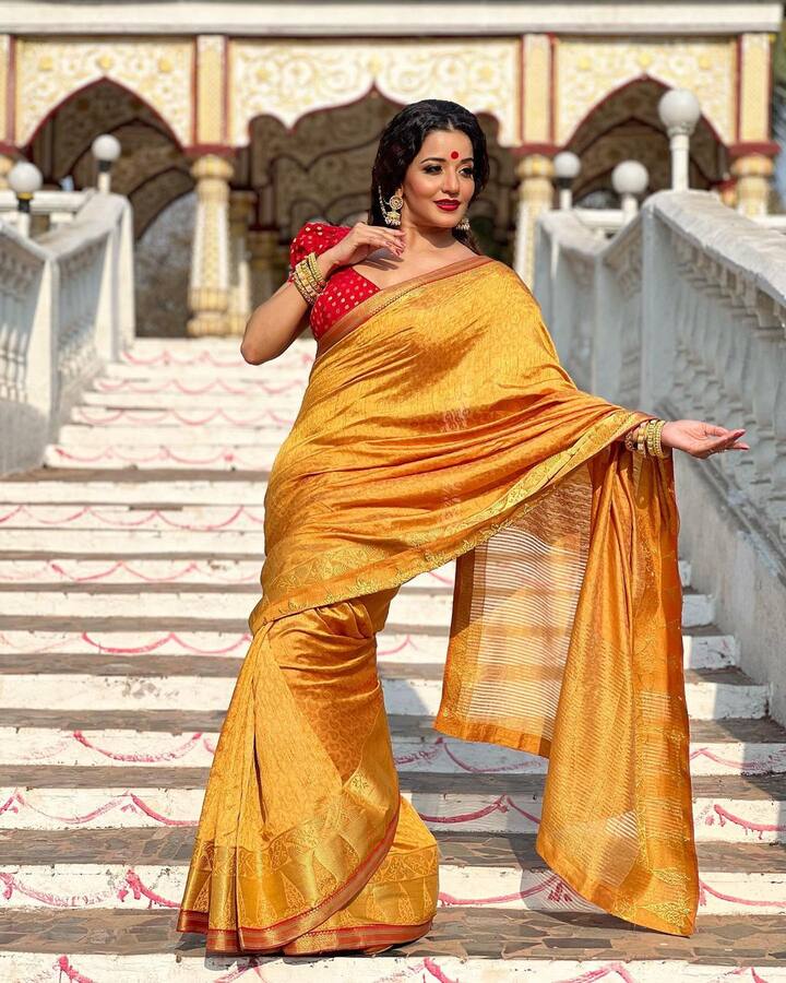 મોનાલિસા કરોડોની સંપત્તિની માલિક છે. અભિનેત્રી ભોજપુરી સિનેમાની પીઢ અભિનેત્રી છે.